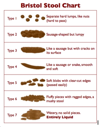 Bristol-stool-chart.jpg