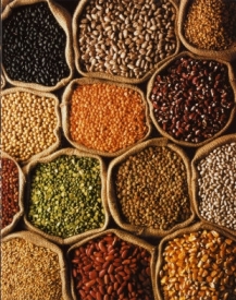 food-grains