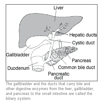 gall