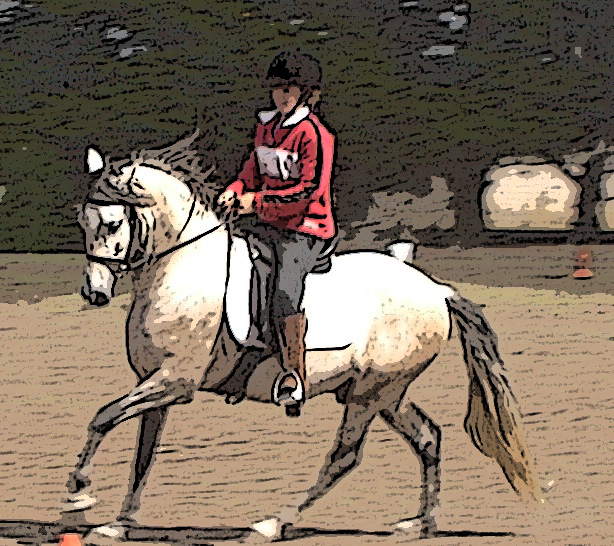 Ridozana - learning to be a dressage champion