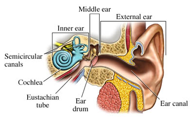 barotrauma tinnitus barotrauma tinnitus