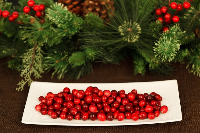 cranberry is a natural food remedy for UTI caused incontinence