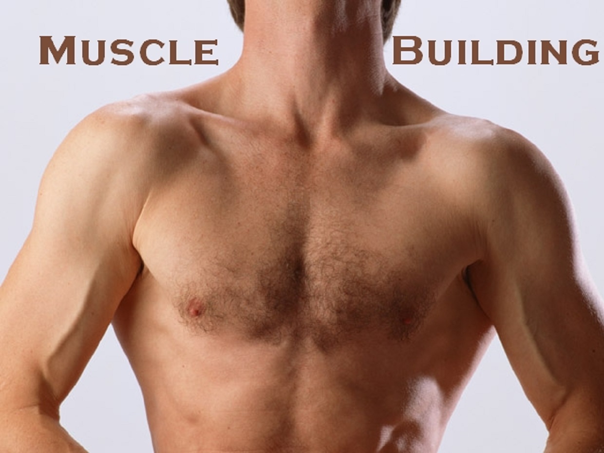 body building